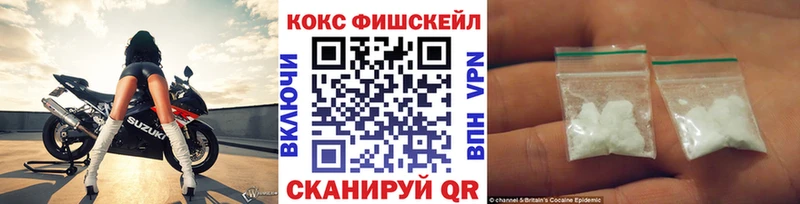 где продают   Ермолино  COCAIN Fish Scale 