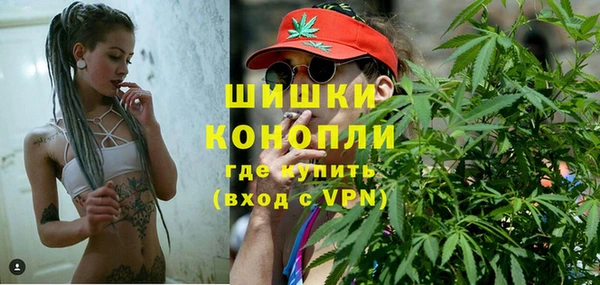 сатива Магас
