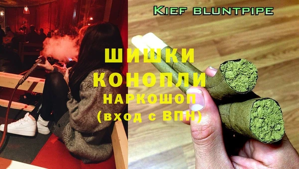 молекула духа Волоколамск