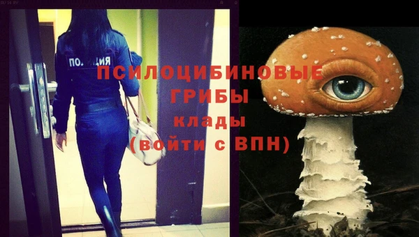 молекула духа Волоколамск