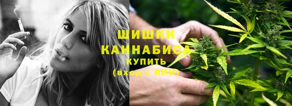 молекула духа Волоколамск